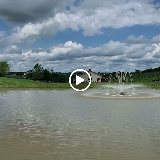 Winery «Lovers Leap Vineyards and Winery», reviews and photos, 1180 Lanes Mill Rd, Lawrenceburg, KY 40342, USA