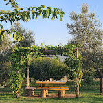 Photo n°3 de l'avis de Serena.a fait le 11/08/2023 à 07:41 sur le  Colto e Mangiato Bolgheri - Agriristoro à Bolgheri