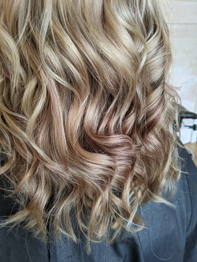 Hair Salon «Wild Root Certified Organic Hair Salon», reviews and photos, 307 Kellogg Ave, Ames, IA 50010, USA