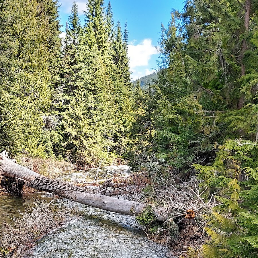 Libby Creek National Gold Panning Area