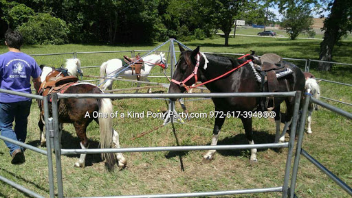 Zoo «A One of A Kind Pony Party», reviews and photos, 912 Bells Chapel Cir, Waxahachie, TX 75165, USA