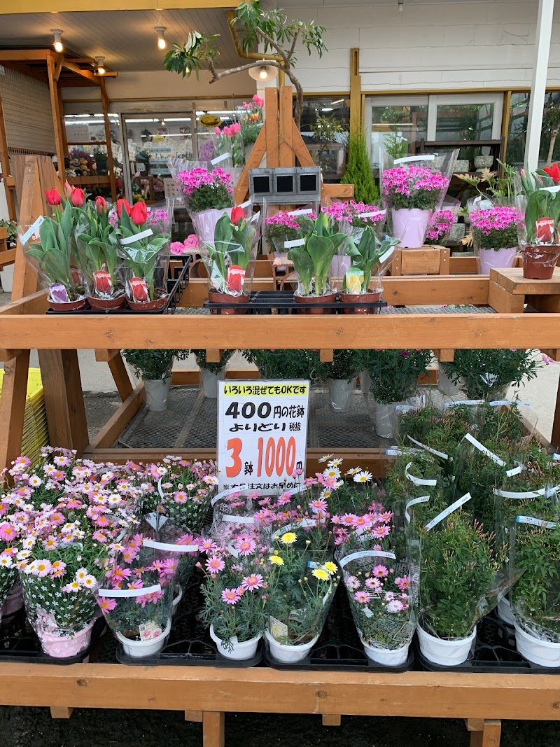 株 南坊園 浅野店 愛知県一宮市浅野赤見前 花屋 花 グルコミ