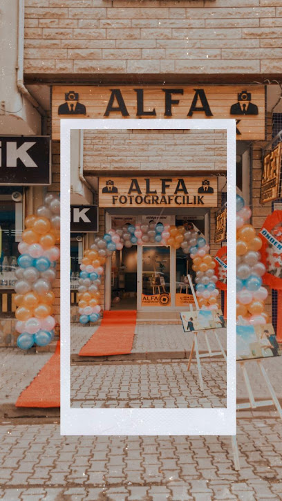 alfa fotoğrafçılık bingöl