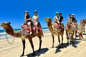 Camel Ride image