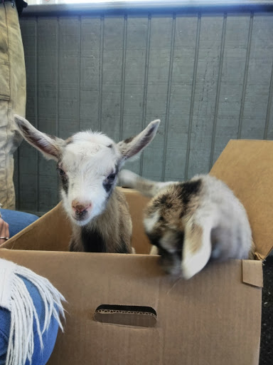 Pet Supply Store «Marvin Grain & Pet Supply», reviews and photos, 31 Cove Rd, South Dartmouth, MA 02748, USA