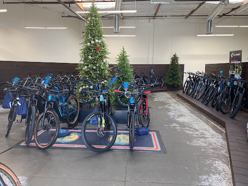 Bicycle Store «San Diego Fly Rides», reviews and photos, 1237 Prospect St x, La Jolla, CA 92037, USA