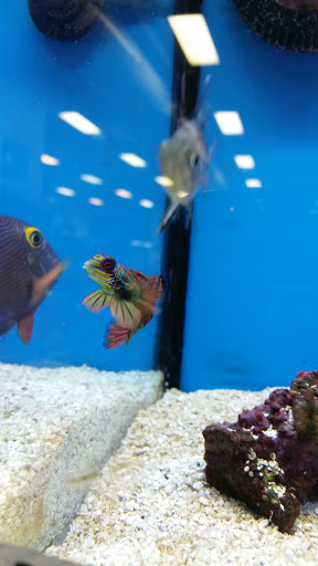 Pet Supply Store «Drs. Foster and Smith», reviews and photos, 2423 Air Park Rd, Rhinelander, WI 54501, USA