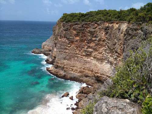 Anse a Tortue photo #2