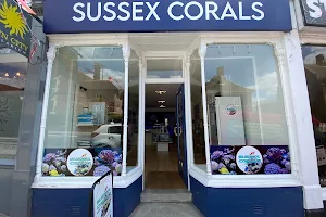 Sussex corals image