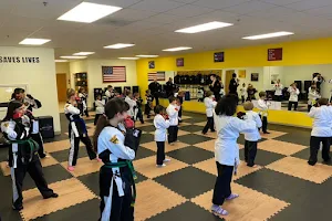 Blue Ridge Martial Arts Academy LLC image