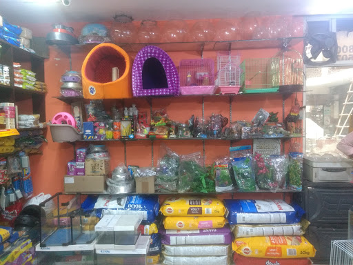 Best reptile shop shops near me