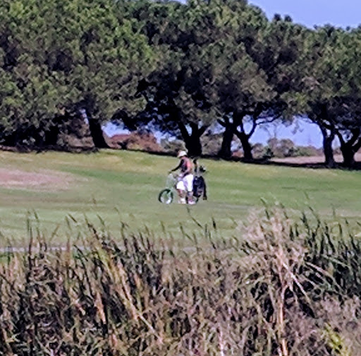 Public Golf Course «Shoreline Golf Links», reviews and photos, 2940 N Shoreline Blvd, Mountain View, CA 94043, USA