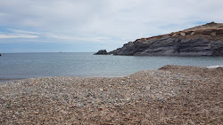 Photo de Playa de la Calafria entouré de montagnes