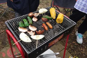 Barbecue Field image
