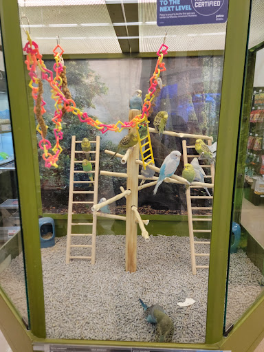 Pet Supply Store «Petco Animal Supplies», reviews and photos, 2565 NE 10th Ct, Homestead, FL 33035, USA