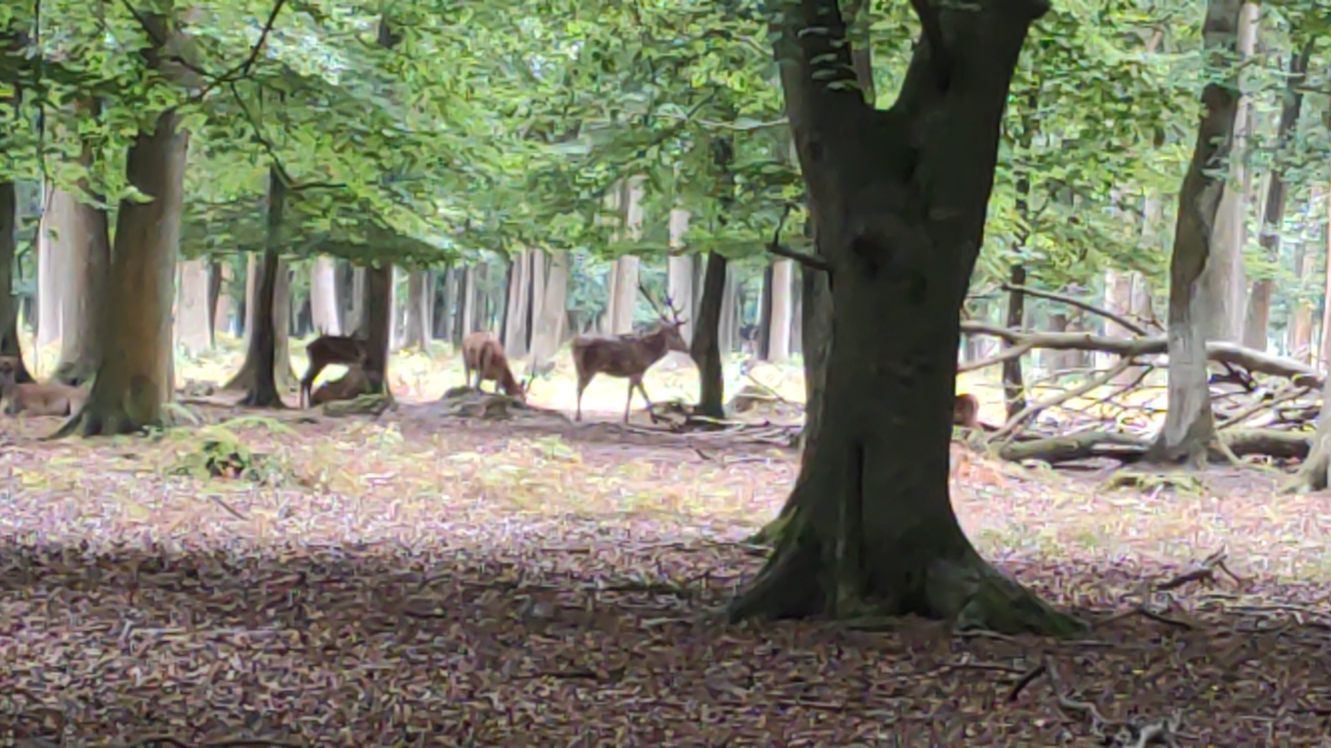 Photo n° 24 de l'avis de LAMBERT.r fait le 16/08/2022 à 19:17