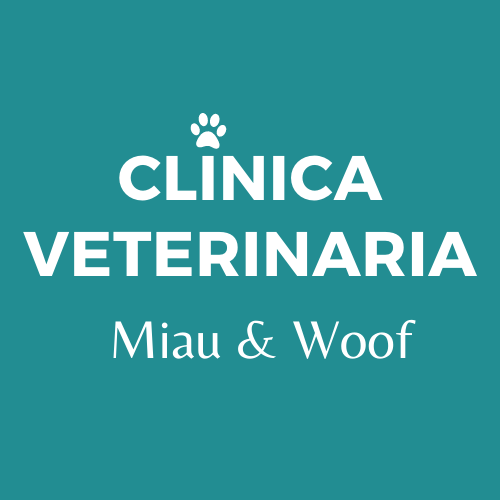 Opiniones de Centro Veterinario Miau & woof en Concepción - Veterinario