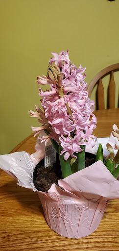 Grocery Store «Jewel-Osco», reviews and photos, 1400 21st St, Zion, IL 60099, USA