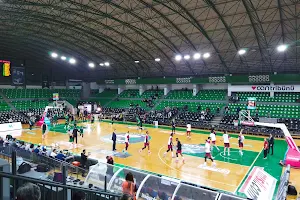 Darüşşafaka Ayhan Şahenk Sports Hall image