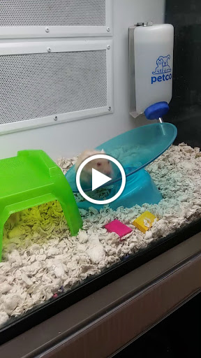 Pet Supply Store «Petco Animal Supplies», reviews and photos, 4175 Dowlen Rd, Beaumont, TX 77706, USA