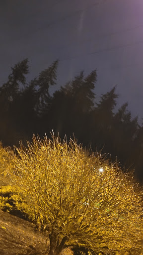 Park «Wilburton Hill Park», reviews and photos, 12400 Main St, Bellevue, WA 98005, USA