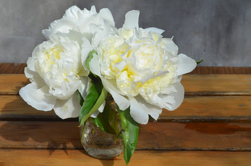 Florist «Lane Florist», reviews and photos, 6616 Snider Plaza, Dallas, TX 75205, USA