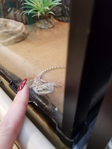 Pet Supply Store «PetSmart», reviews and photos, 5801 Belleville Crossing St, Belleville, IL 62226, USA