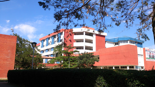 Cursos medicina campus Santa Cruz