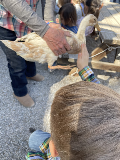 Zoo «Jr Pony Parties», reviews and photos, 1744 N Leonard Ln, Las Vegas, NV 89108, USA