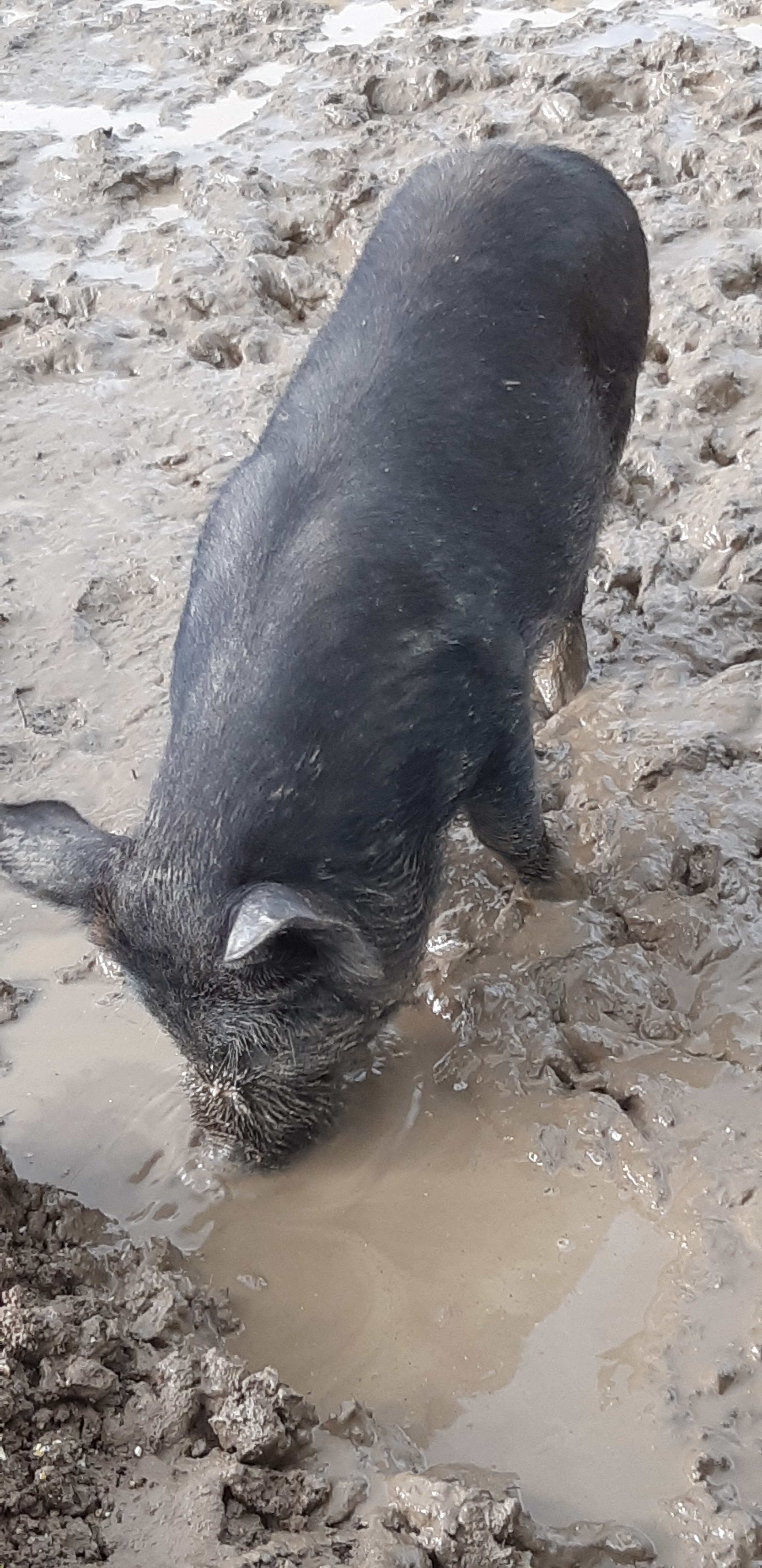 Photo n° 25 de l'avis de Yannick.a fait le 27/10/2019 à 14:17
