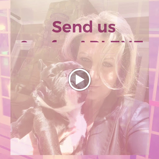 Dance School «Le Pari Dance Center», reviews and photos, 34 South Ave, Fanwood, NJ 07023, USA