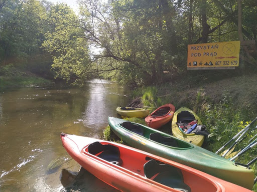 Rental Kayaks Against the Current