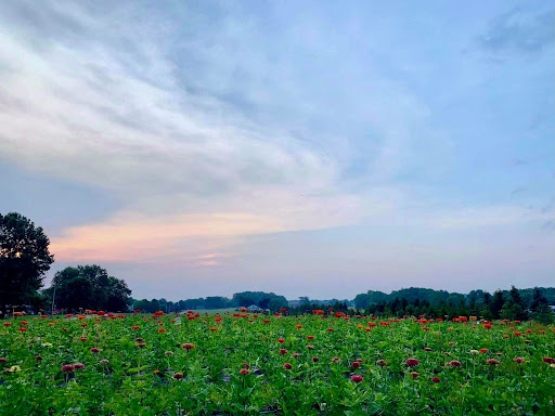 Fruit and Vegetable Store «Henley Farm», reviews and photos, 3513 Charity Neck Rd, Virginia Beach, VA 23456, USA