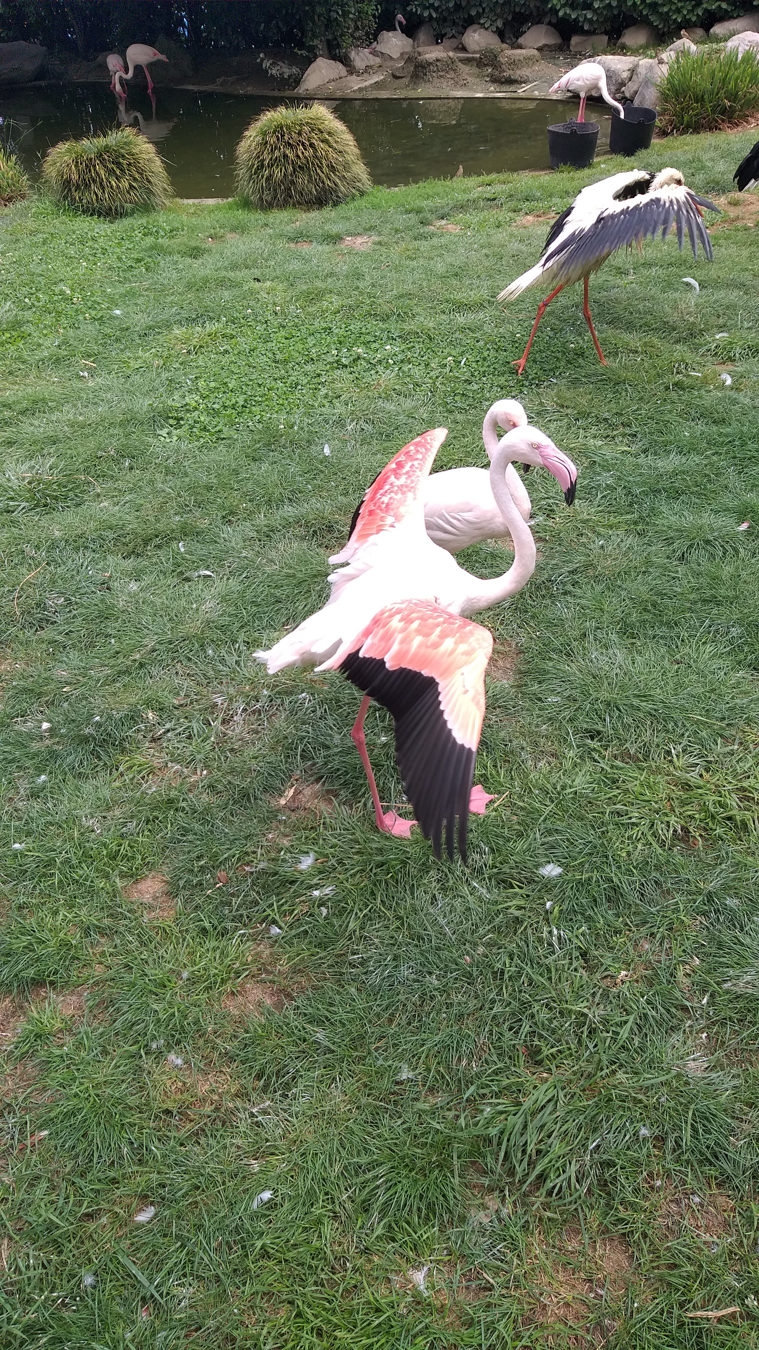 Photo n° 1 de l'avis de yannick.o fait le 30/07/2021 à 12:28