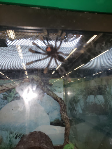 Pet Supply Store «Pet Supplies Plus», reviews and photos, 2575 NC-105 #100, Boone, NC 28607, USA