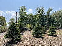 TruCut Landscaping - Photo 4 - Car repair in , Norwich