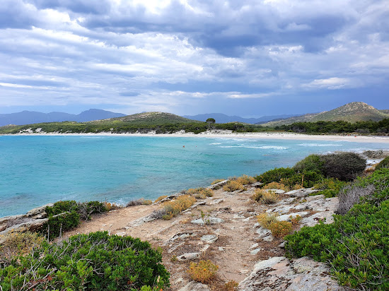Plage de Saleccia