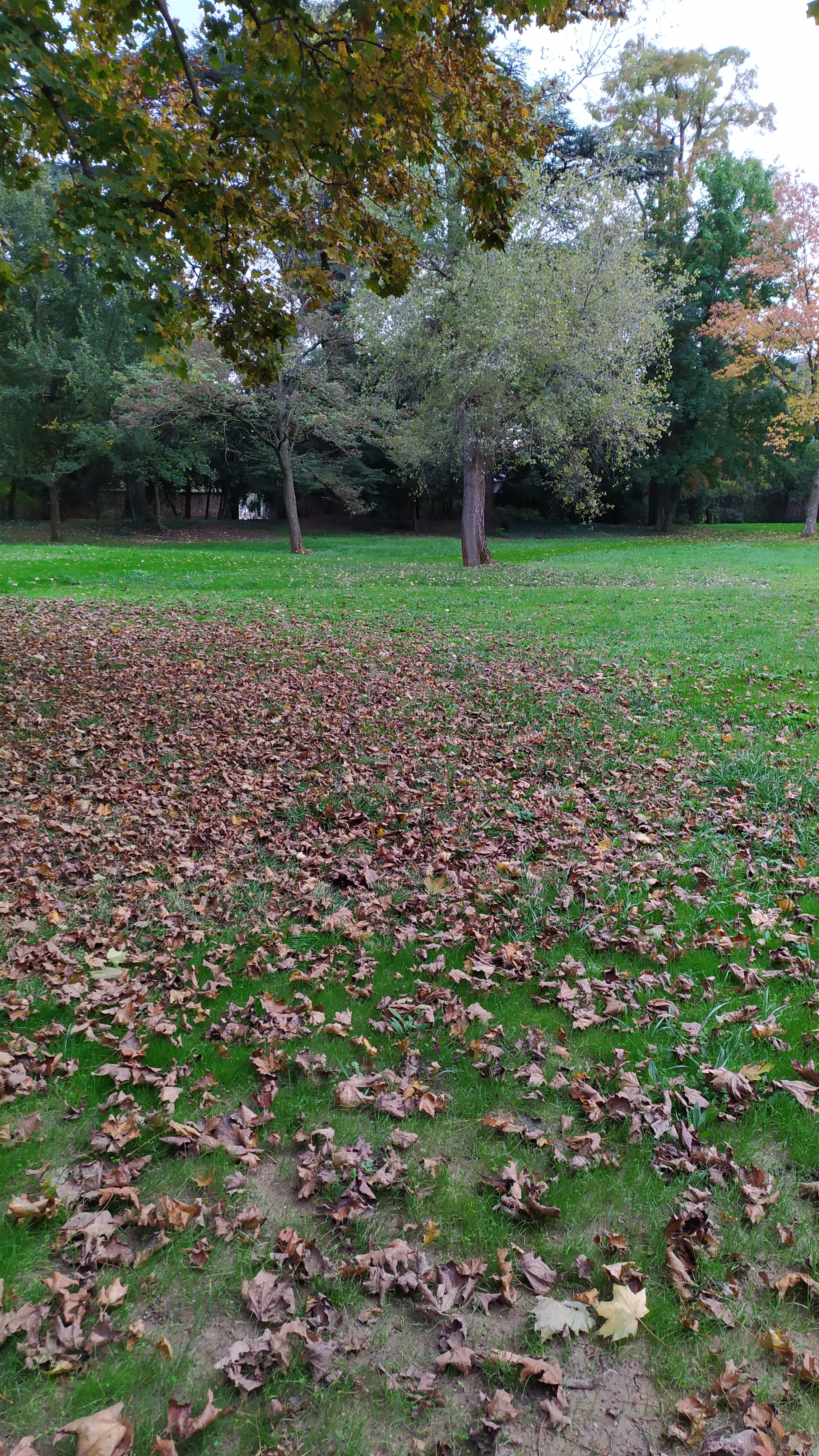 Photo n° 2 de l'avis de Nina.i fait le 27/10/2019 à 16:23