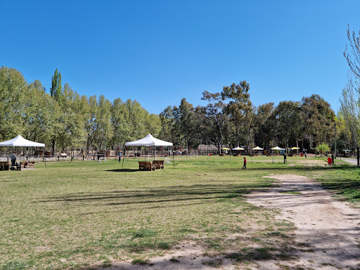 LOS PINOS Granja Educativa