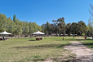 Los Pinos Granja Educativa image