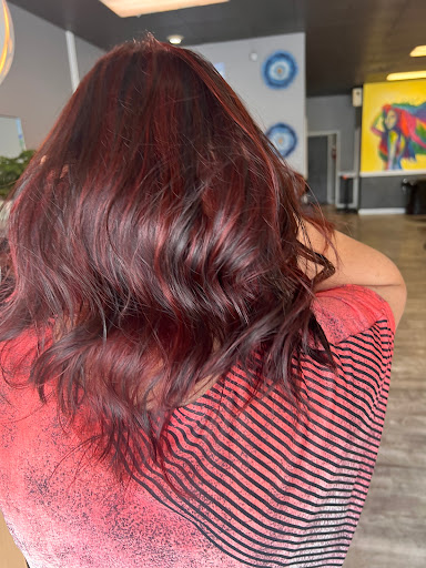 Hair Salon «Lotte Hair Salon», reviews and photos, 12816 Factoria Blvd SE # E, Bellevue, WA 98006, USA