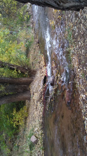 Tourist Attraction «Adventures Out West», reviews and photos, 1335 Manitou Ave, Manitou Springs, CO 80829, USA