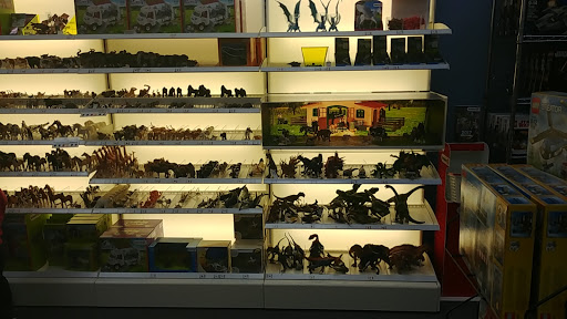 Toy Store «Brilliant Sky Toys & Books», reviews and photos, 1705 Mallory Ln #100, Brentwood, TN 37027, USA
