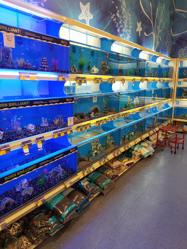 Pet Supply Store «PetSmart», reviews and photos, 6046 Marsha Sharp Fwy, Lubbock, TX 79407, USA