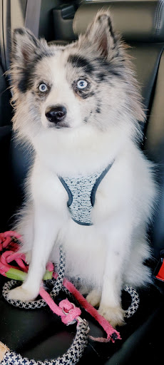 Pet Supply Store «Petco Animal Supplies», reviews and photos, 8551 S Howell Ave, Oak Creek, WI 53154, USA