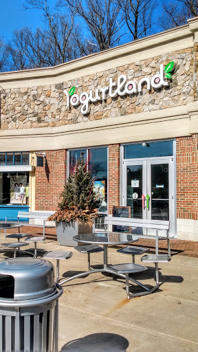 Frozen Yogurt Shop «Yogurtland», reviews and photos, 3056 NJ-10, Denville, NJ 07834, USA
