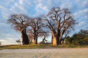 Nxai Pan National Park image