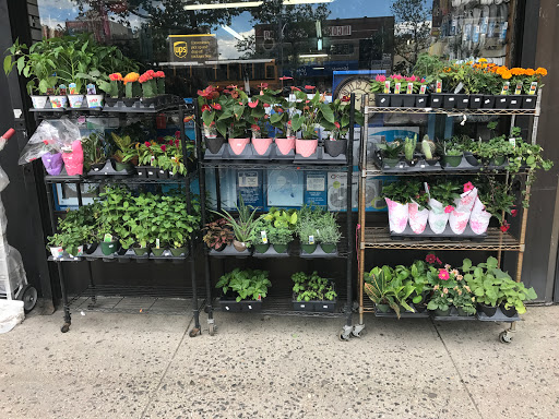 Hardware Store «Forest Hills Hardware», reviews and photos, 11232 Queens Blvd, Forest Hills, NY 11375, USA