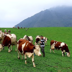 La Ferme Marty-Debat à Lestelle-Bétharram