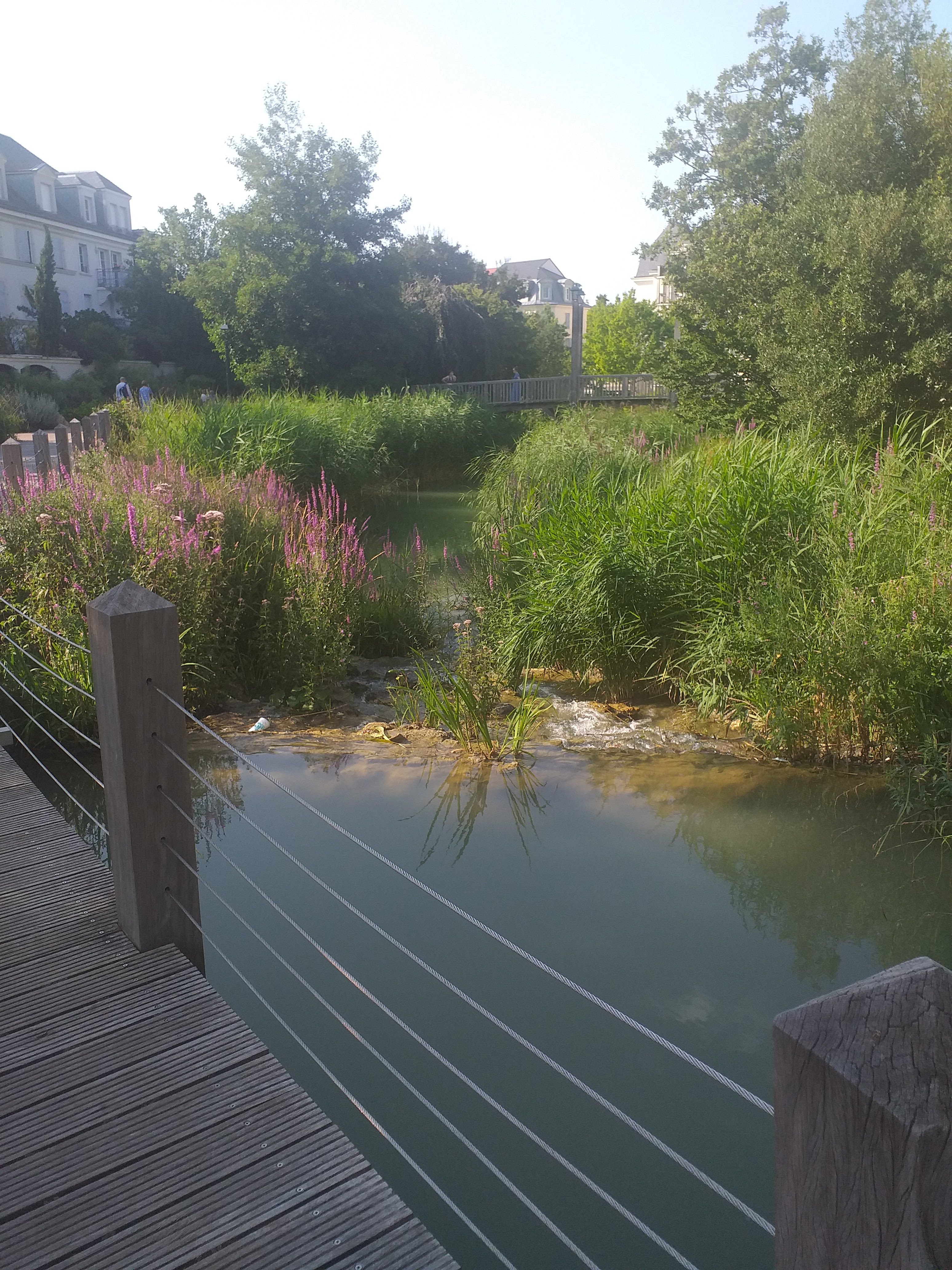 Photo n° 5 de l'avis de DELBARRE.R fait le 22/03/2023 à 14:13